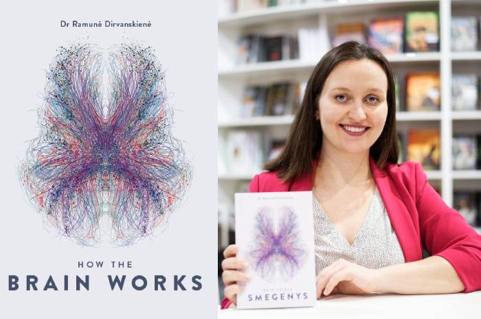 How The Brain Works Book